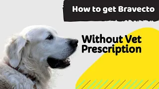 how to get bravecto without vet prescription? | Dogs Ticks and Fleas Treatment