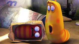 LARVA - HIDE AND SEEK | Cartoon Movie | Videos For Kids | Larva Cartoon | LARVA Official