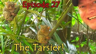 Episode 27 The Tarsier of Bohol!