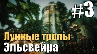 Прохождение Skyrim: #3 Лунные тропы эльсвейра