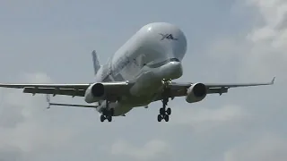 Beluga XL landing Hawarden.