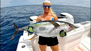 Crazy Bait Balls and Big Yellowfin Tuna on Topwater Lures (Catch Clean & Cook)
