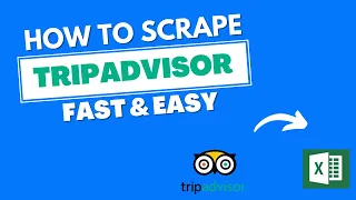 Cracking the Code of Hotel Reviews: scraping TripAdvisor data without coding