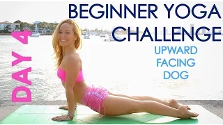 Day 4 Beginner Yoga Challenge: Upward Facing Dog