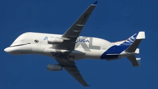 Airbus A330-743L Beluga XL F-WBXL Flypast at Filton February 14th 2019