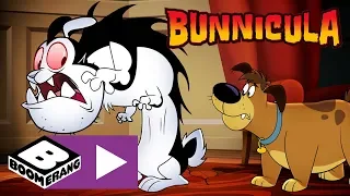 Bunnicula | Bunnicula's Disappearing Act | Boomerang UK 🇬🇧