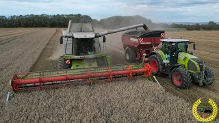 Weizenernte an der Ostsee | Claas Lexion 580 | Horsch UW 160 | Claas Axion 870 | LKW