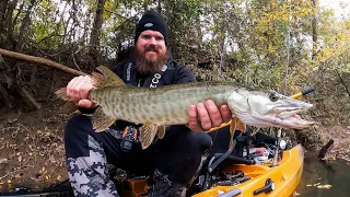 Small Creek Kayak Fishing! ( Tennessee Musky Fishing )