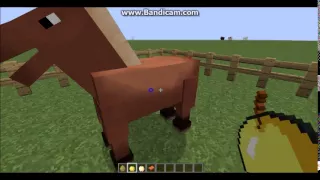 Minecraft poradnik #1 jak oswoić konie