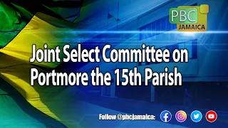 Joint Select Committee on the proposal for Portmore to become the 15th Parish - March 11, 2021