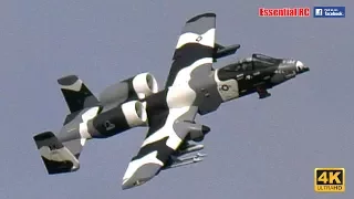 A-10 WARTHOG in RC ACTION FIRING DREADED GAU-8 Gatling GUN/CANNON with Brrrt ! [*UltraHD and 4K*]