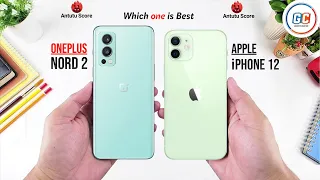 OnePlus Nord 2 vs iPhone 12 | Full Comparison ⚡ Which one is Best.