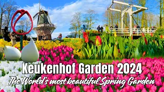 🌷 KEUKENHOF GARDEN 2024 - The World’s Most Beautiful Spring Garden of 7 Million Flowers Guided Tour