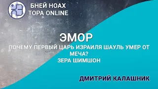 Почему первый царь Израиля Шауль умер от меча? Зера Шимшон 1. Недельная глава Эмор