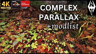 Details - Textures - Parallax of a modded Skyrim (2023)