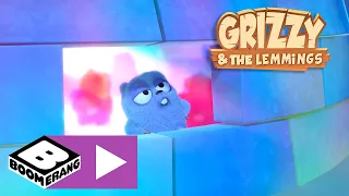 Grizzy en de Lemmings | Dansen onder de sterren | Cartoonito