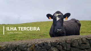 ILHA TERCEIRA - AÇORES  |   TERCEIRA ISLAND - AZORES