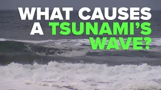 What causes a tsunami's wave?