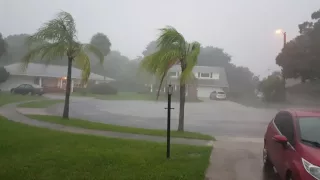 Tropical storm/hurricane Hermine. 09/01/2016. Tampa, Florida, USA.