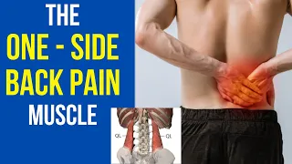 One Side Lower Back Pain Treatment | Best Exercises And Self Massage For One Side Back Pain Relief