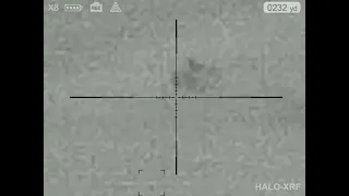 Nvision Halo XRF Long Range Coyote Thermal Kill (another at 416 yards)