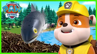 Les chiots aident les poissons à franchir le barrage de castor! - Mancs Őrjárat - PAW Patrol epizód