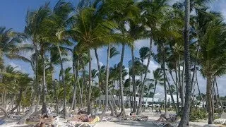 Доминикана-Атлантический океан,пальмы