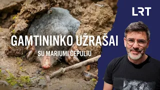 Gamtininko užrašai. Sodo draugus ir „priešus“ pristatęs Čepulis