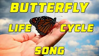 BUTTERFLY LIFE CYCLE SONG | egg, caterpillar, chrysalis, butterfly