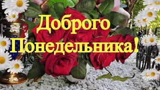 Доброе Утро! С Понедельником Вас! Хорошего Дня и Отличного Настроения!Налейте кофе…