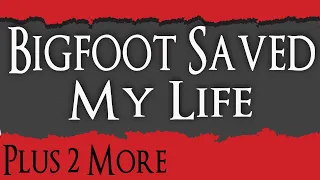 Bigfoot Encounters: Bigfoot Saved My Life - Bigfoot Reached Out His Hand To Me