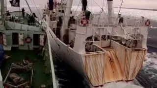 Sea Shepherd -  Operation Leviathan 2006-2007
