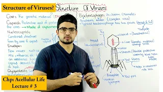 Structure of  bacteriophage