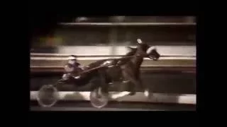 1981 Yonkers Raceway DESTIN GRADE Open Pace