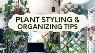 Tips For Plant Styling & Organizing Your Houseplants