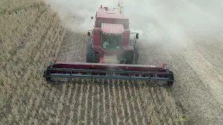 Harvesting Soya Beans in April 2023 with a Case 2388