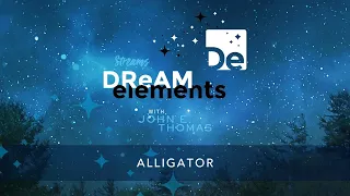 Alligator - Dream Element