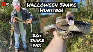 20+ Snakes on Halloween! Tin Flipping in South Carolina: Giant Rat Snakes, Rattlesnakes, and More!