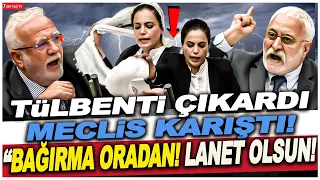 HDP'li vekil tülbentini çıkardı meclis karıştı! "Bağırma oradan! Ona lanet olsun!"