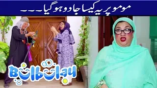 Bulbulay Season 2 Episode 43 - Ayesha Omar | Nabeel