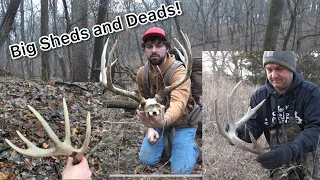 GIANT Deadhead and Big Sheds! -Iowa Shed Hunting