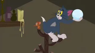 Tom and Jerry Show S 01 E 02 D - CAT'S RUFFLED FUR-NITURE |LOOcaa|