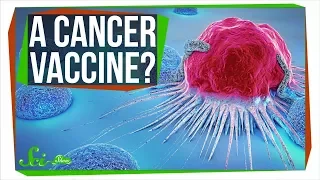 A Vaccine Against ... Cancer?