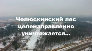 Уничтожение Челюскинского леса