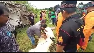 viral, an 8 year old child in East Kalimantan was eaten by a giant crocodile.