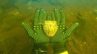 Found Potential Voodoo Jar Underwater While Scuba Diving! (What's Inside?)