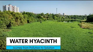 Water Hyacinth - Journey from Pollution to Solution | Documentary by Jeevitnadi | Cummins India