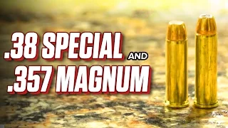 .38 Special and .357 Magnum Gun: How Are They Different?