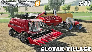 Harvesting sunflower with new harvester | Slovak Village | Farming simulator 19 | Timelapse #41