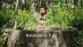 How to develop your intuition | Intuition vs. ego